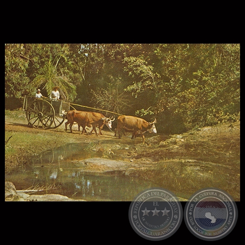 CARRETA TÍPICA PARAGUAYA - Foto de ADOLFO MARÍA FRIEDRICH